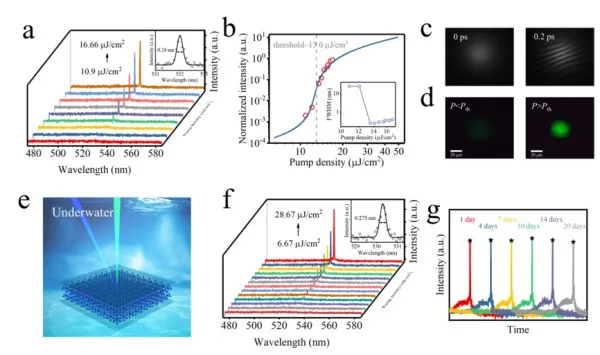 news-600-355 news-600-355